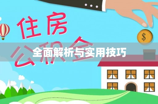 老边全面解析与实用技巧