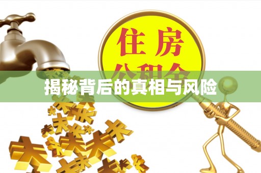 老边揭秘背后的真相与风险