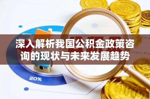 老边深入解析我国公积金政策咨询的现状与未来发展趋势